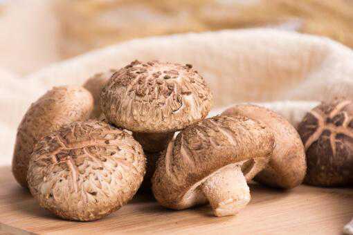 香菇种植几天才长出（香菇种植几天才长出根）