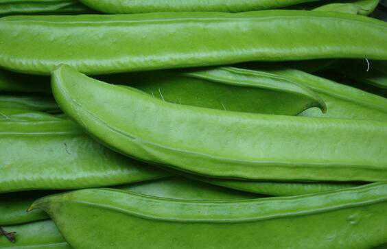 什么是刀豆，刀豆的功效与作用 什么是刀豆,刀豆的功效与作用图片