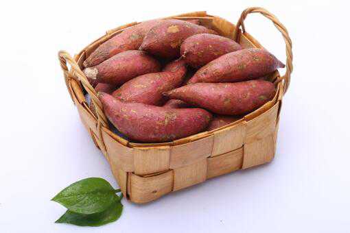 长期吃红薯有什么危害 长期吃红薯有什么危害和好处?