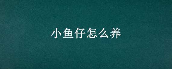 小鱼仔怎么养 下的小鱼仔怎么养