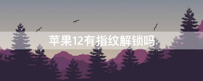 iPhone12有指纹解锁吗