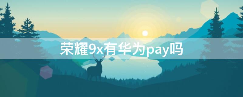 荣耀9x有华为pay吗