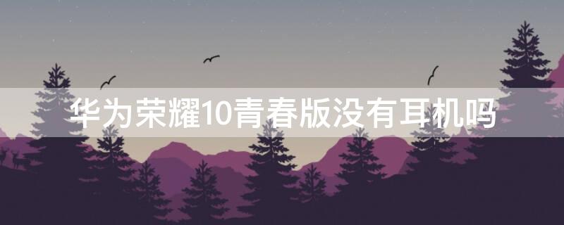 华为荣耀10青春版没有耳机吗