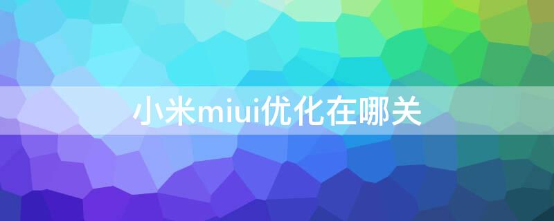 小米miui优化在哪关