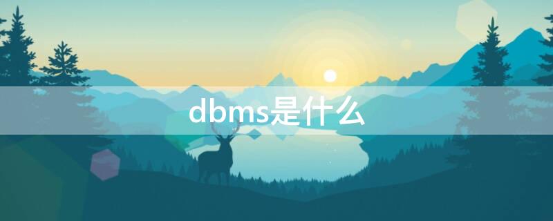 dbms是什么