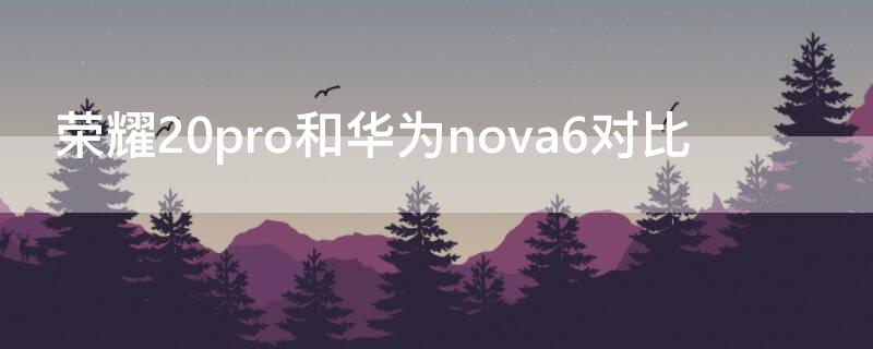 荣耀20pro和华为nova6对比