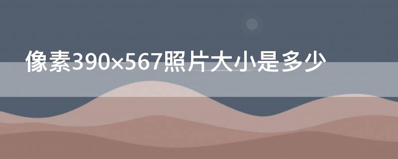 像素390×567照片大小是多少