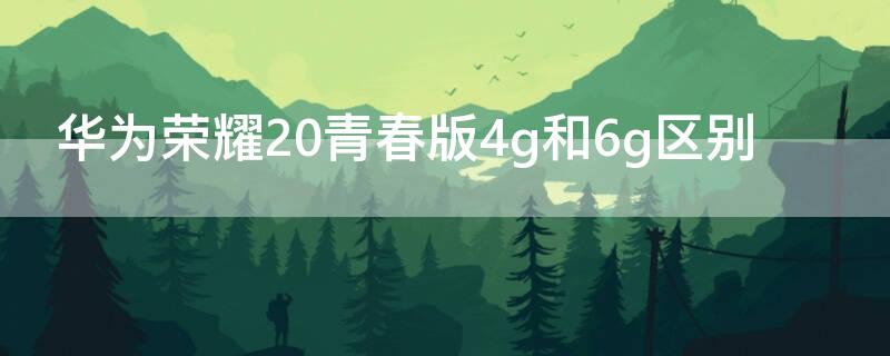 华为荣耀20青春版4g和6g区别