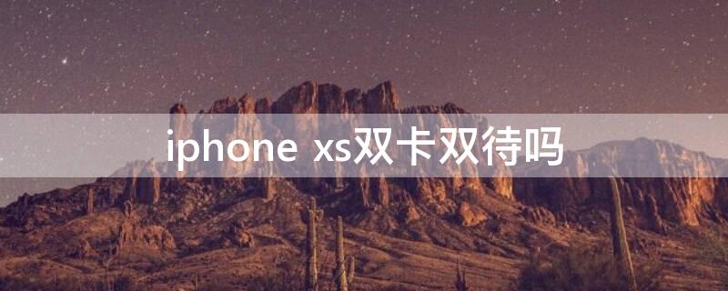 iPhone xs双卡双待吗