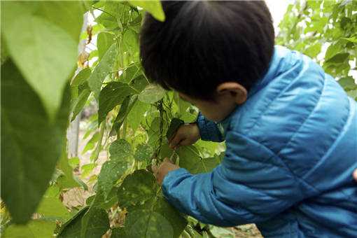 2020年藏在农村的暴利小生意有哪些（2020年不起眼的暴利小生意）