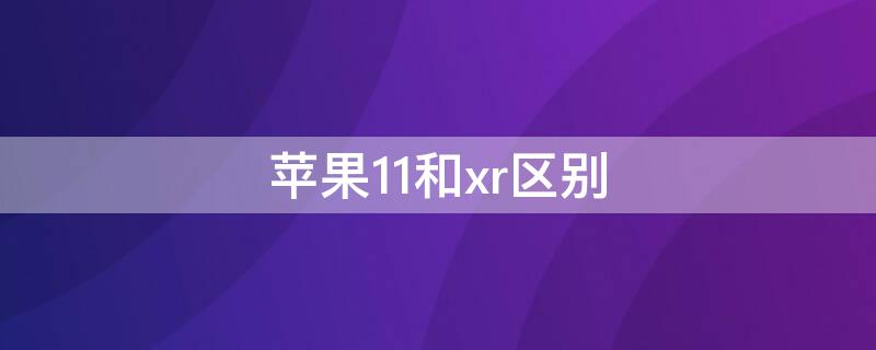 iPhone11和xr区别