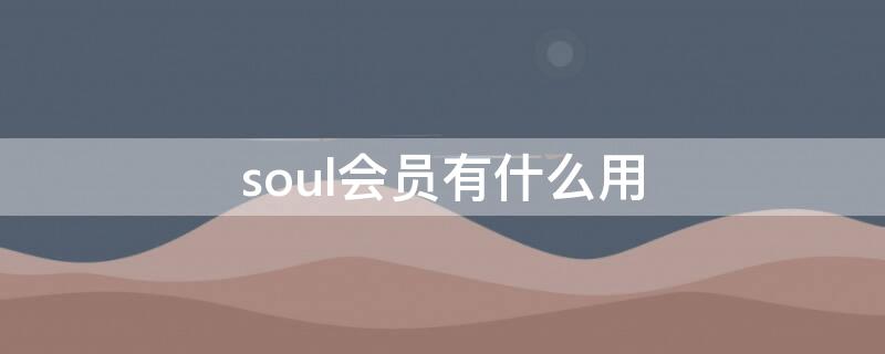 soul会员有什么用