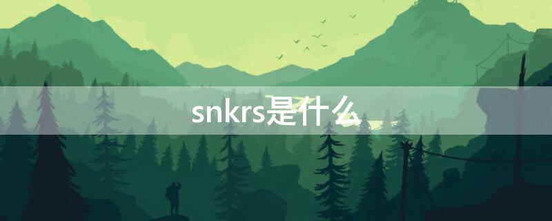 snkrs是什么