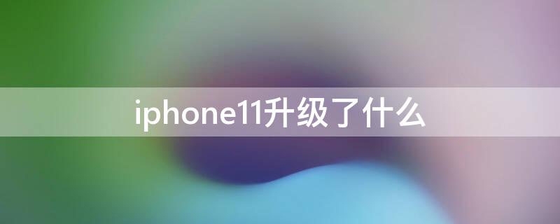 iPhone11升级了什么