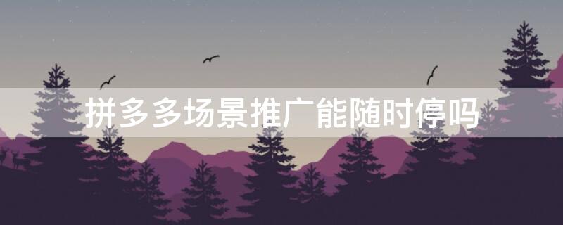 拼多多场景推广能随时停吗