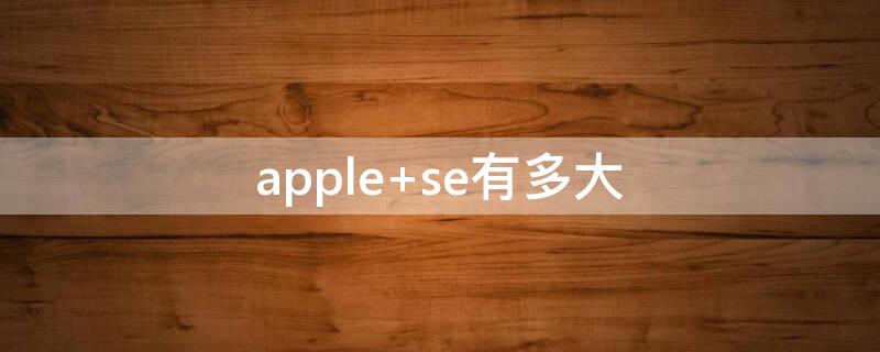 apple se有多大