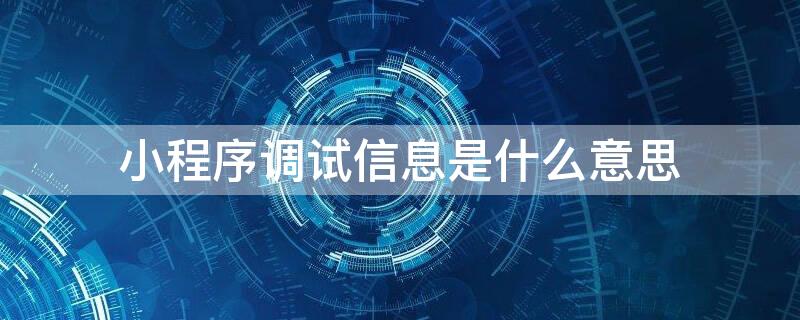 小程序调试信息是什么意思