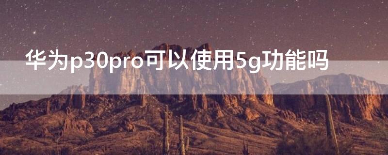 华为p30pro可以使用5g功能吗