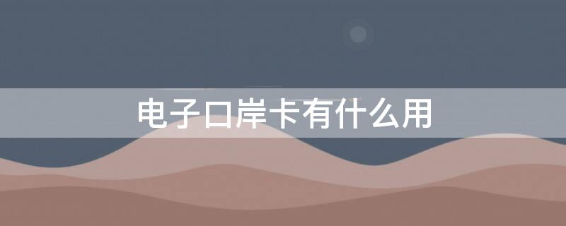 电子口岸卡有什么用