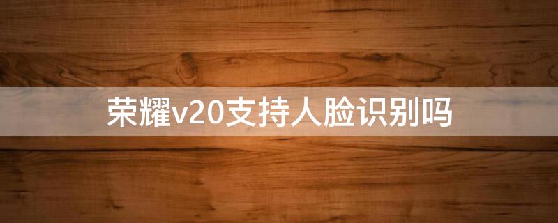 荣耀v20支持人脸识别吗