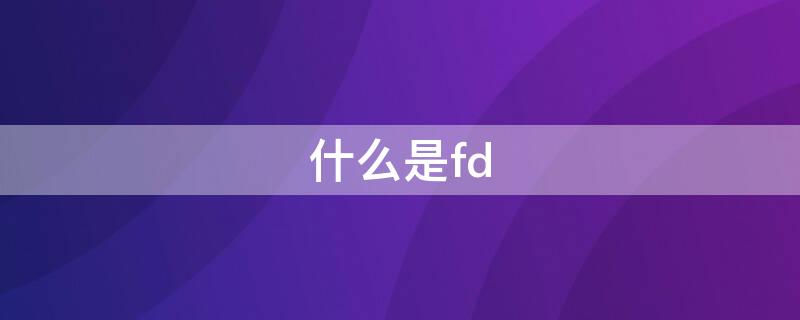 什么是fd