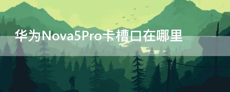 华为Nova5Pro卡槽口在哪里