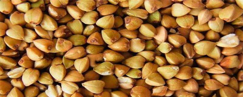 一粒一粒的茶是什么茶（一粒一粒的茶是什么茶喝着甜）