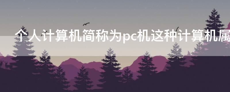 个人计算机简称为pc机这种计算机属于