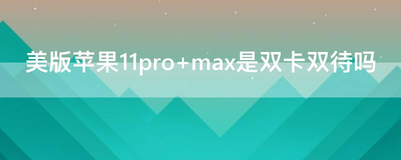 美版iPhone11pro max是双卡双待吗