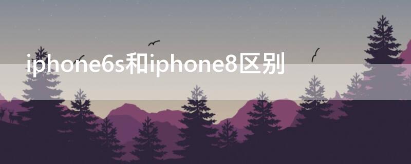 iPhone6s和iPhone8区别