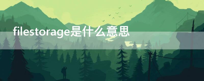 filestorage是什么意思