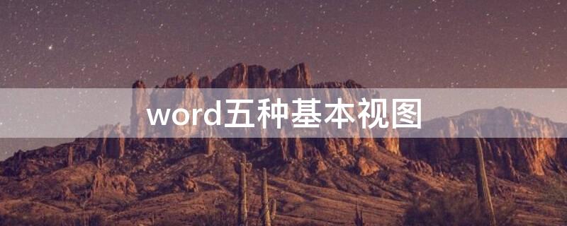 word五种基本视图