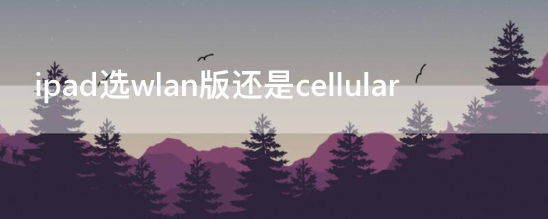 ipad选wlan版还是cellular