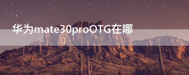 华为mate30proOTG在哪