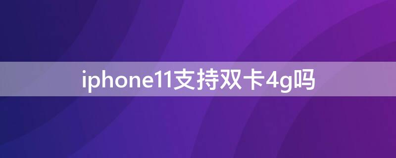 iPhone11支持双卡4g吗