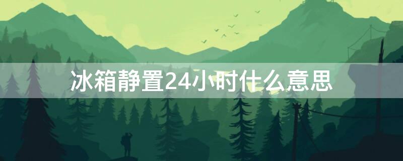 冰箱静置24小时什么意思