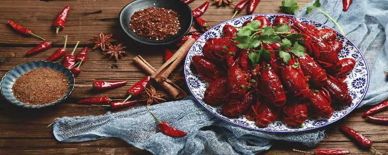 小龙虾怎么过冬（小龙虾怎么过冬怎么控温视频）