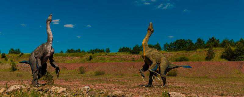食肉恐龙和食草恐龙的区别 食肉恐龙和食草恐龙的区别在哪里