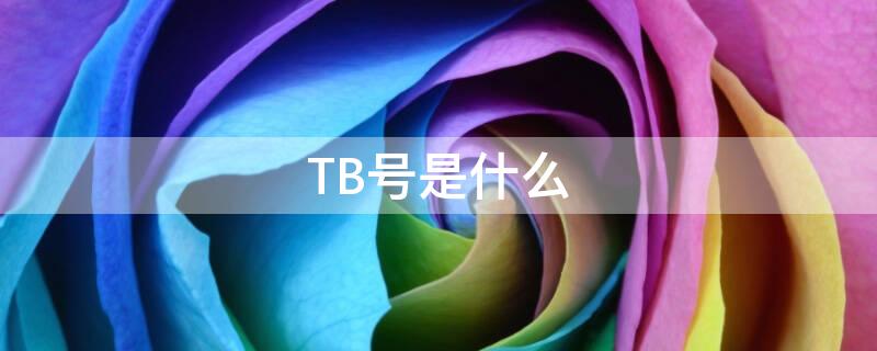 TB号是什么