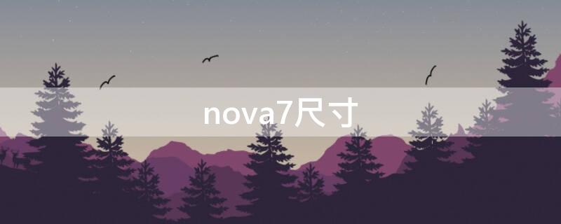 nova7尺寸