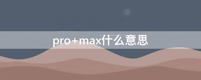 pro max什么意思