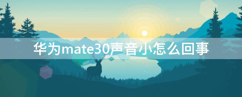 华为mate30声音小怎么回事