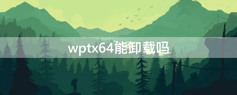 wptx64能卸载吗