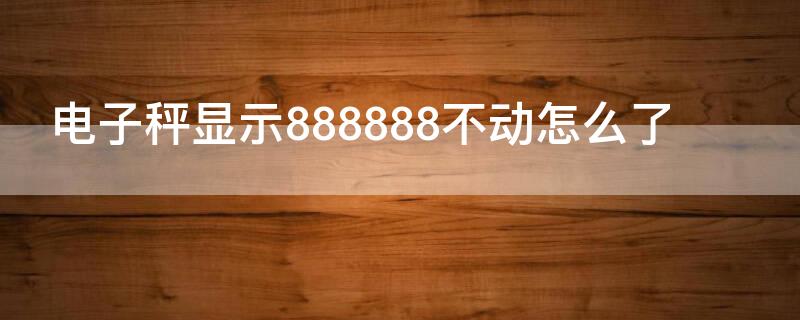 电子秤显示888888不动怎么了