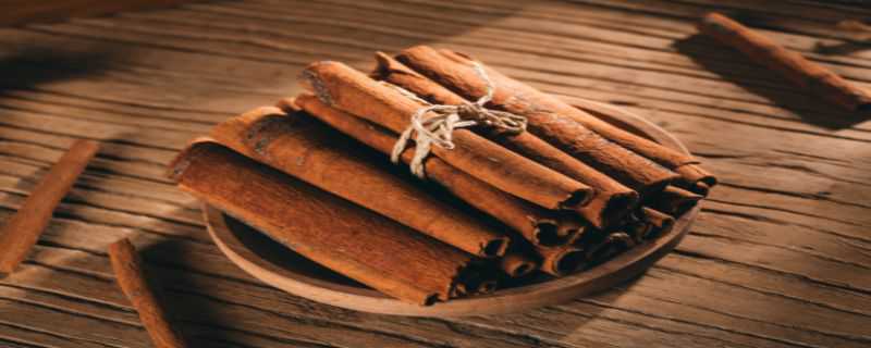 肉桂产地（三大肉桂产地）