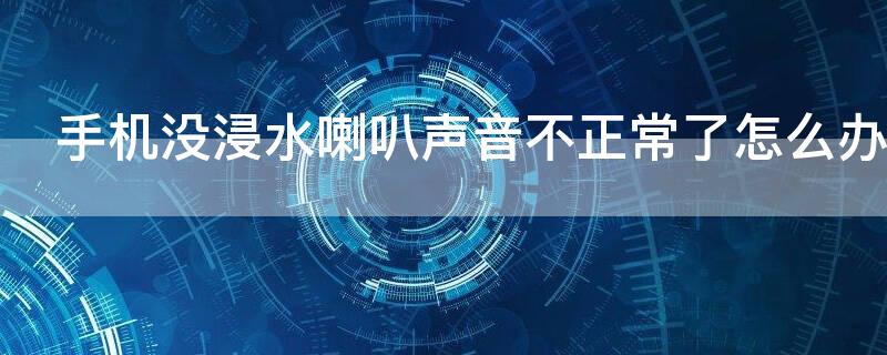 手机没浸水喇叭声音不正常了怎么办