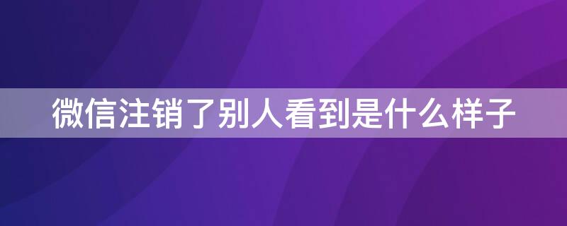 微信注销了别人看到是什么样子