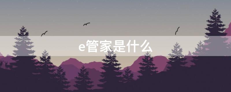 e管家是什么