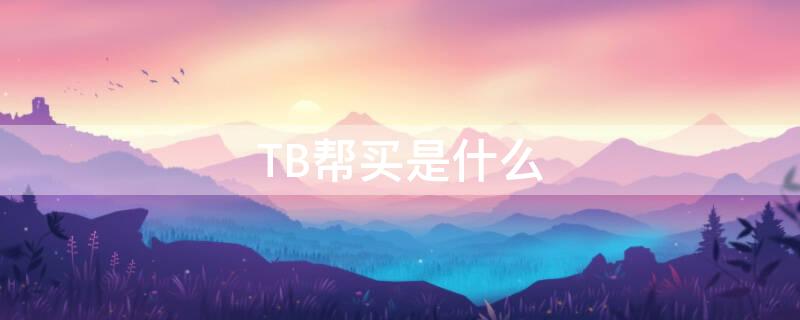 TB帮买是什么