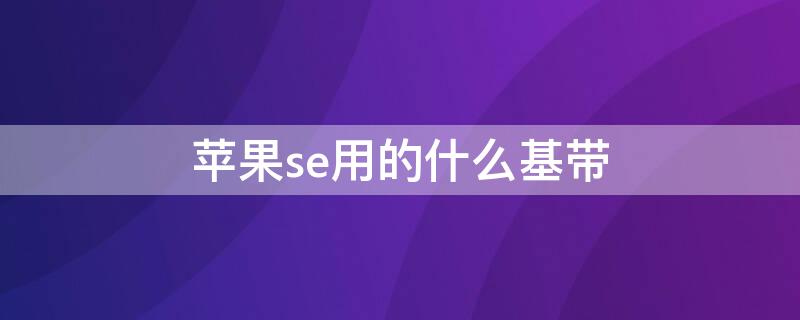 iPhonese用的什么基带